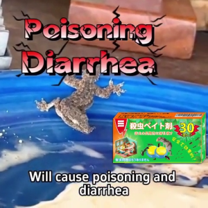 No more geckos！！AK Lizard killer Lizard killer bait Ubat cicak Serial Killing easy to use suitable for all scenarios，30pcs/Box.Lizard Racun cicak paling kuat 壁虎药