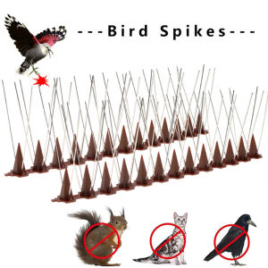 Stainless Steel Bird Spikes Defender Birds Spikes Fence Wall Anti-Bird Pigeon Protector Repeller Deterrent