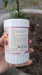 KÍCH RỄ MẠNH N3M COMBI HŨ 200GR / RA RỄ MẠNH / DÀNH CHO CÂY KIỂNGRAU MÀU