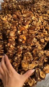 TÚI 500G_NẤM HƯƠNG XIÊN_ĐẶC SẢN TÂY BẮC