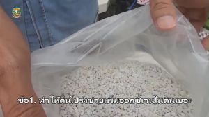 เพอร์ไลท์ (Perlite) ขนาด 4-8 mm วัสดุปลูกช่วยรายเดินดี บรรจุ 5 ลิตร
