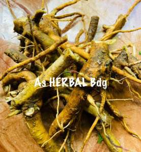 Akar kecubung segar / akar daun kecubung 500 gram-az