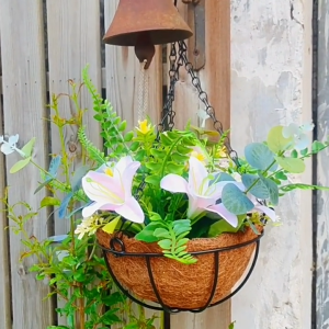 Spring Home กระถางแขวนตะกร้า 8/10/12นิ้ว กระเช้าห้อย สายเป็นโซ่เหล็ก กระถางแขวนใหญ่ ขุยมะพร้าว รับน้ำหนักได้ดี