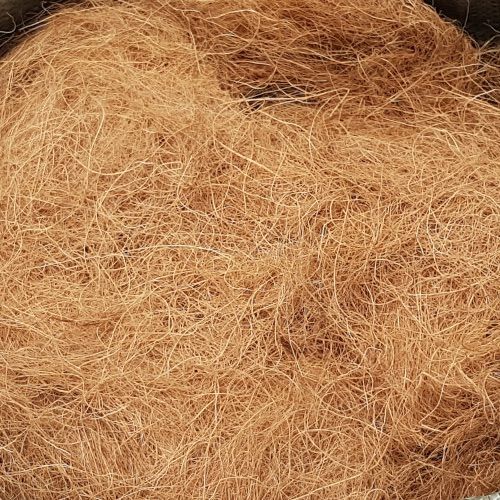 Sabut Kelapa Kasar Coco Fiber Liter Lazada