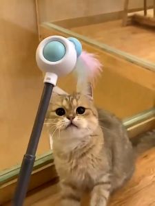 Tongkat Mainan Kucing Anjing Bermain Retractable Tali Bulu Bisa ditarik Laser Rumbai Interaktif Cat Dog Wand 3IN1