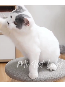 【Mi Pet Lover】Natural Silver Vine Sticks for Cats Cat Chew Toys