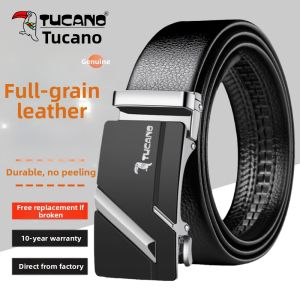 TUCANO | Business Auto Buckle Leather Belt