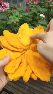 250gr Xoài sấy dẻo muối ớt LOẠI 1 sấy muối ớt chua ngọt cay cay thơm ngon