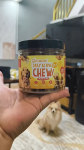 Dentaboost Dog Dental Sticks Daily Active Chew Jar Dog Dental Treats Dental Sticks Tartar Cleaning