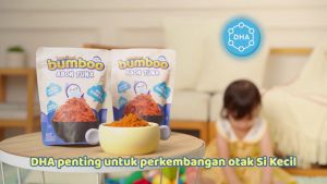 BUMBOO Abon Asli - Tekstur Lembut MPASI Si Kecil - Sumber Protein - Tanpa MSG - Tanpa Pengawet