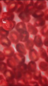 Masker Rambut CBD: Keratin Pro & Collagen Repair 35ml