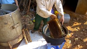 Mật ong hoa cà phê Tây Nguyên - Can 5 lít