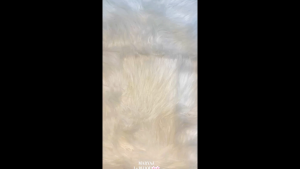 Le Bijou Maryaj For Her EDP 100ml Minyak Wangi For women Best Fragrance Long Lasting Perfumes