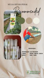 Mulsa pertanian hitam perak ori kuat lentur tahan lama