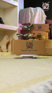 Hello Polo รองเท้ารัดส้นผู้หญิง พื้นหนา วัสดุ EVA เบาพื้นนุ่มมาก สบาย ทนต่อการสึกหรอ รองเท้านิ่มเหมือนเหยียบอึ HP8056