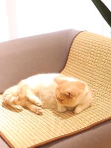 Pet Cat Scratching Board Sofa Protection Mat Cat Tree Claw Sisal Pad Cat Sofa Protective Cover Cat Scratching Sofa Mat Pet Resistant Scratching Supplies