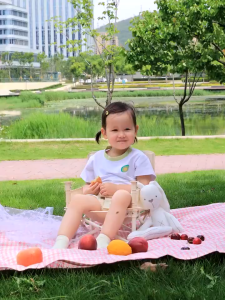 Portable Baby Chair Foldable Booster Seat Toddler Chair for Feeding Baby Eating High Chair Picnic Chair for Baby