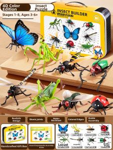 BEI JESS | Educational Insect Toy Model 4D Assembly