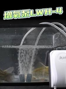 LONGWANGHEN | Ultra Quiet Small Fish Tank Air Pump