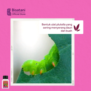 Setama 250ml Obat Hama Ulat Tanaman Obat Pembasmi Penghilang Ulat Pada Tanaman Sayur dan Buah-Buahan
