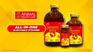 Norovit Multivitamins 50ml