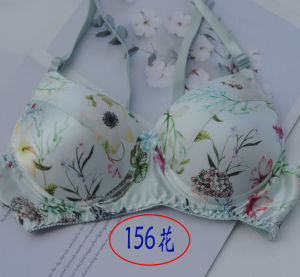 Color Classy Breathable Sponge Chun Zi Bird Double-Sided Mulberry Silk Sports Silk Bra Intimates Direct Sales