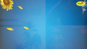 Siro Kiện Tỳ Ích Khí PQA Hỗ Trợ Kiện Tỳ Bổ Khí Kích Thích Tiêu Hóa Giúp Ăn Ngon Miệng Chai 250ml