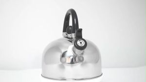 TEKO BUNYI STAINLESS 2.5L / TEKO MASAK AIR SIUL Q2-8025 / WHISLING KETTLE