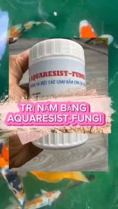 AQUARESIST-FUNGI Phòng và diệt các loại nâm trên cá cảnh