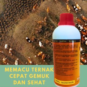 Suplemen Vitamin Ayam Bebek Ikan Sapi dan Kambing – Cepat Gemuk & Produktivitas Meningkat