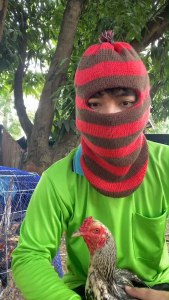 jk ฟอร์ซ ยาไก่คุมน้ำแดงในสนาม ไก่ชน