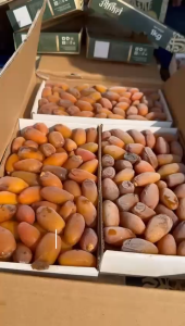 KURMA RUTHOB LIBYA 1kg Rutob Libia 1 kg Rutab Ruthab Mengkel Korma semi matang krenyes frozen