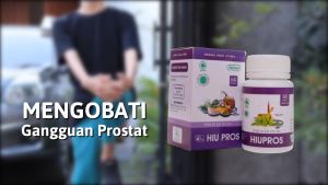 Obat Prostat Hiu Pros Original Herbal Kapsul Kelenjar Pembengkakan Peradangan Nyeri Indo Utama