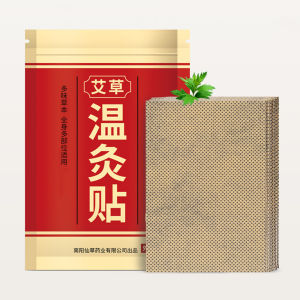 20pcs Pain Relief Patch Cold Patches Fast-Acting Plaster Long Lasting Relief of Waist Pains for Knee Neck Joint Pain Reliever