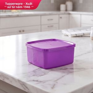 Tupperware | Hộp Lưu Trữ Di Động Kín Khí 6 cái