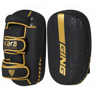 GINGPAI | Arc-shaped Martial Arts Training Pads