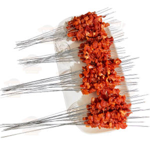 CHUANCHUANHENMANG | Grilling Skewers Disposables
