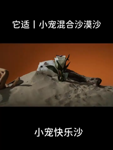 Cát sa mạc Tafit dành cho hamster thú cưng nhỏ