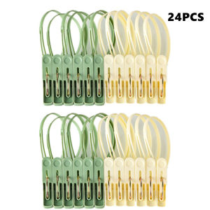 Clothespins 24 Pack Small Mini Clothes Pins with Plastic Rope for Clothesline Cute Sturdy Clothing Closepins Blue Green  Chip De