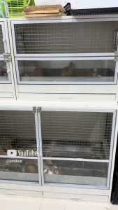 กรงหนู กรงสัตว์เลี้ยง กรงกระต่าย แกสบี้ แฮมเตอร์ ขนาด 80x60x40 cm ถาด2ชิ้น มีที่กั้นด้านใน กรงใช้เอง