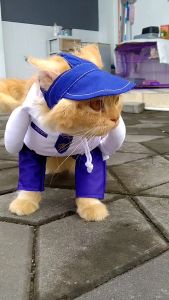 BAJU KUCING KARAKTER SERAGAM SEKOLAH SMP LUCU GEMES