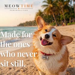 MeowTime Personalised - Laser-Engraved Matte Steel Pet Name Tag for Cats & Dogs