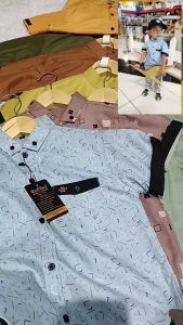 R006 Kemeja Motif Anak Laki Laki 2-10 Tahun Lengan Pendek Full Printing Warna Dusty