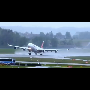 [ READY STOCK ]Silicone Luggage Tag Name Sign Tag Handbag Label Tag