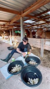 ช่วยระบบภูมิคุ้มกันโรค ระบบภายในสัตว์แข็งแรง ไคโตซานสัตว์ สัตว์กินเก่ง ขนสวย โตไว ฟาสท์ไคโตซาน ฝาสีเหลือง1ขวด สินค้าจัดส่งจากบริษัทของแท้100%