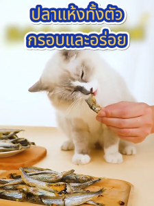 ปลาไข่ฟรีซดราย 80g ขนมแมว ขนมแมวฟรีซดราย Cat Treats อาหารแมว ลูกบอลกำจัดขนธรรมชาติ ขนสวย 100% จากธรรมชาติ อุดมด้วยโอเมก้า 3 freeze dried แมว