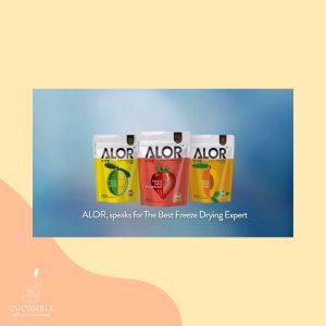 [HALAL] ALOR Healthy Freeze Dried Fruit Chips 15g - Mango