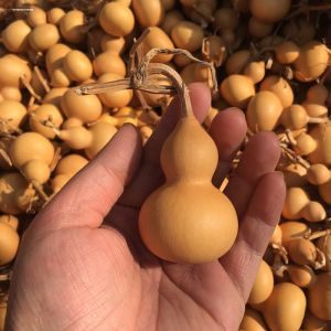 Miniature Gold Patina Wenhua Gourd Handheld Pendant