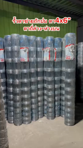 รั้วตาข่าย ลวดตาข่ายถักปม (ยาว50m) ช่องตา4x6" ไม่เกิดสนิม ลวดล้อมคอกม้า วัว แพะ ตาข่าย ตาข่ายล้อมรั้ว รั้วลวดตาข่าย รั้วตาข่ายถัก รั้วถักปม