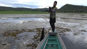 เหยื่อตกปลา เหยื่อยาง USA รุ่น TAIKA ไทก้า byน้าโอ๊ต เหยื่อปลาชะโด เหยื่องานชะโด เหยื่อตกปลาถููกๆ USA & BPO เหยื่อยางTAIKA ไทก้า โอ๊ต USA บรรจุ 3 ตัว/ซอง เหยื่อยาง ฟรีเบ็ด 7/0 ลวดกันฟันปลา เล่นได้ทั้งผิวน้ำและใต้น้ำ น้ำหนักดี ตีไกล เหยื่อถูกๆ เหยื่อ